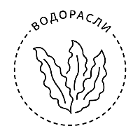 Водорасли